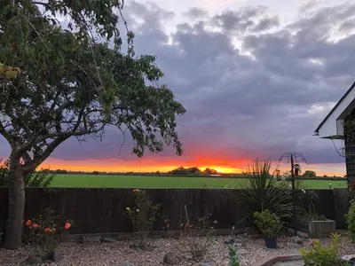 a sunset in a yard with a fence and a tree at Country View place in Weeley