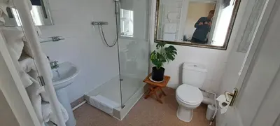 a bathroom with a shower and a toilet and a sink at Earsham Street House in Bungay