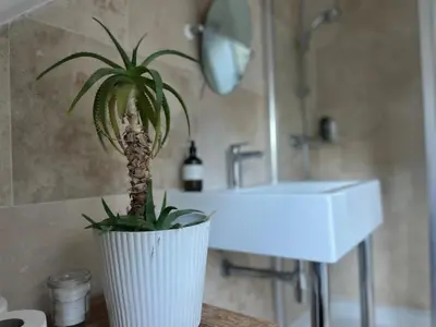 a potted plant sitting on a counter next to a sink at Charming Cottage nestled in the heart of a picturesque village in Westleton