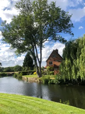a house and a tree next to a river at Idle Waters in Dedham