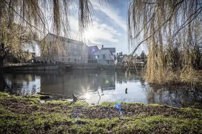 a body of water with ducks in it at Stunning Central Apt With Parking in Cambridge