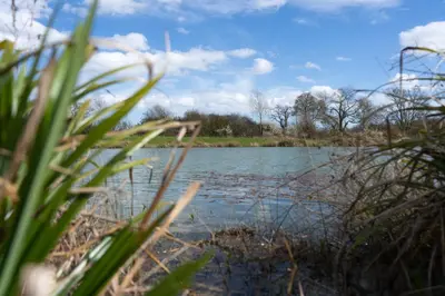 a view of a river from the grass at Willow Cottage in Saxtead