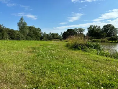 a field of grass next to a body of water at Willow cottage in Saxtead