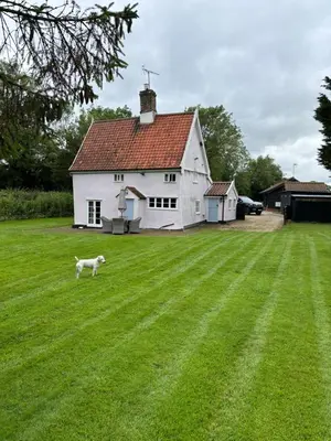 a white house with a dog standing in the grass at Willow cottage in Saxtead