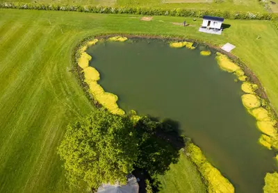 an overhead view of a pond in a field at The Shepherds Hut at Anvil House in Woodbridge