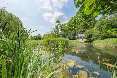 a river with a house in the distance at Belchamp Hall Mill in Belchamp Otten