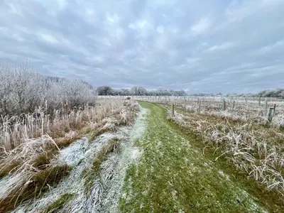 a path in a field with grass and trees at Magog View in Sawston