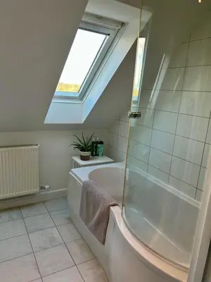 a bathroom with a bath tub and a skylight at Magog View in Sawston