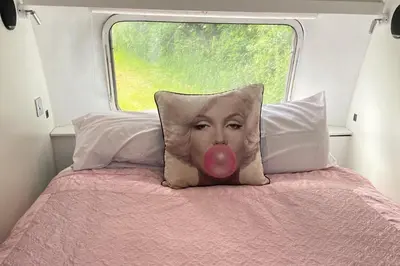 a pillow with a picture of a woman with a pink tongue at Bury - Lodge - Sleeps 2 - Parking in Great Welnetham