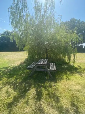 a picnic table under a tree in a field at Bury - Lodge - Sleeps 2 - Parking in Great Welnetham