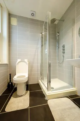 a bathroom with a shower and a toilet and a sink at Charlotte House 2bed 2bath Retreat For 6 Guests in Ipswich
