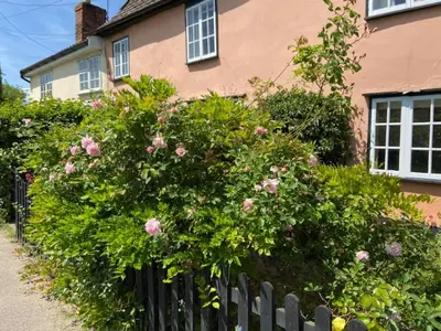 a fence in front of a house with pink roses at Wayside Cottage, Dennington in Brundish