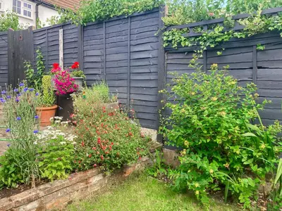 a garden with a fence with flowers and plants at Sunny Meadow Cottage in Sudbury