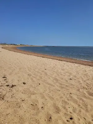 a sandy beach with the ocean in the background at Green House Moselle in Jaywick Sands
