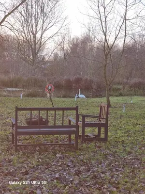 two benches in a field with birds in the background at The Fox - Free Fishing, pets welcome - static caravan in Clare, Suffolk in Clare