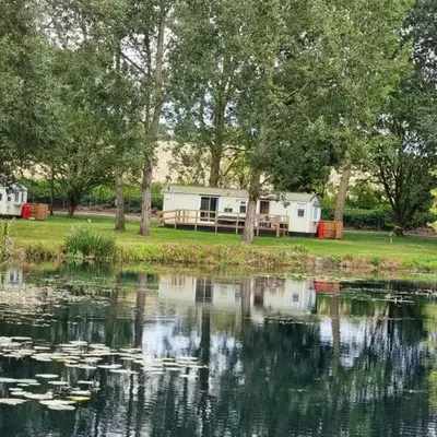 The Fox - Free Fishing