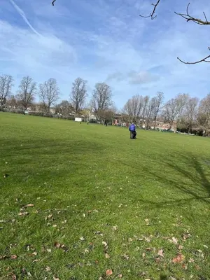 a large grass field with a blue object in it at Charming Home in Central Cambridge in Cambridge