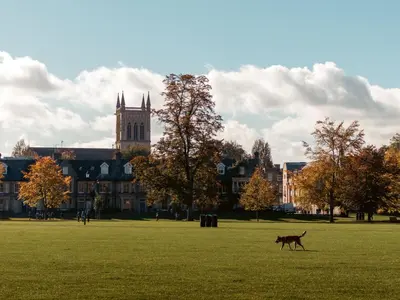 a dog walking in a field in front of a building at R&O Property Experts 2 BR Super Central Cambridge in Cambridge
