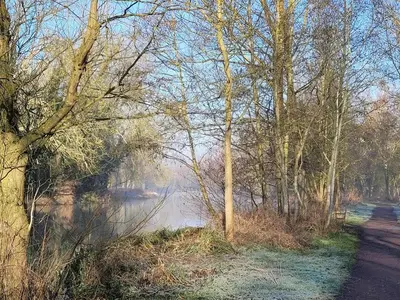 a view of a river with trees and a road at The Nook in Great Cornard