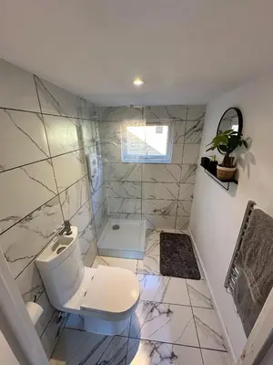 a bathroom with a toilet and a shower at Sunnyside guest house in Latchingdon and Snoreham