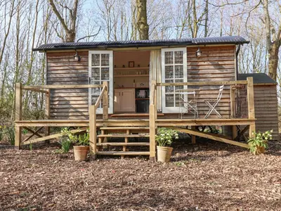 a tiny house in the woods with a porch at Woodlands Retreat Shepherd's Hut in Woodbridge
