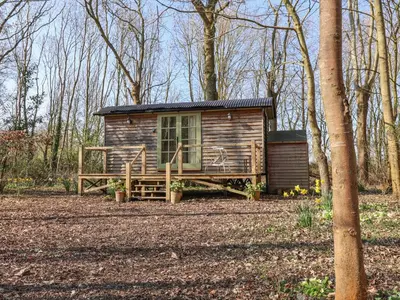 a small cabin in the middle of the woods at Woodlands Retreat Shepherd's Hut in Woodbridge
