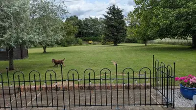 a dog walking in a yard behind a fence at The Lodge in Felsted