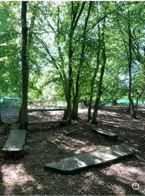 a group of benches in a forest with trees at Riverside farm Yurt tent Hertford in Hertford