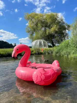 a pink flamingo float in the water on a river at Farm woodland riverview cabin bbq firepit pet friendly in Hertford