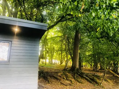 a building with a tree next to a forest at Farm woodland riverview cabin bbq firepit pet friendly in Hertford