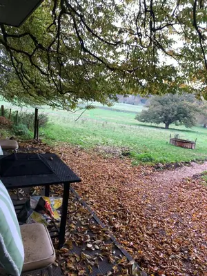 a picnic table and a bench in a field at Farm woodland riverview cabin bbq firepit pet friendly in Hertford