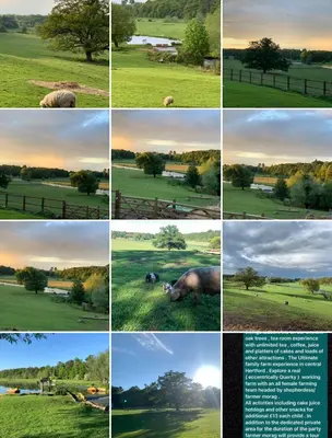 a collage of pictures of animals in a field at Hertford belltent farm stay riverside firepit bbq in Hertford