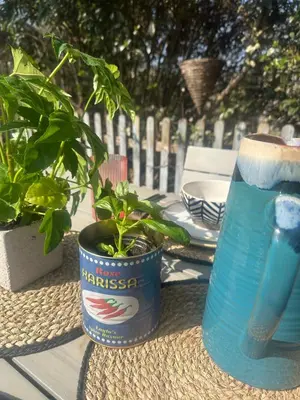a potted plant on a table next to a bottle of water at Hurrell Cottage in Cambridge