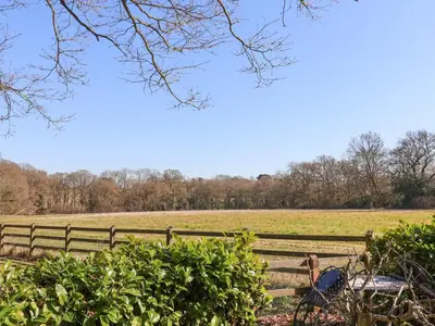 a pasture with a fence and a field at Holm Oak Lodge in Clacton-on-Sea