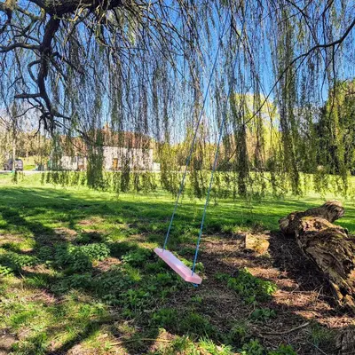 a swing hanging from a tree in a field at Secluded 16th Century Farmhouse with private grounds in Hatfield Peverel