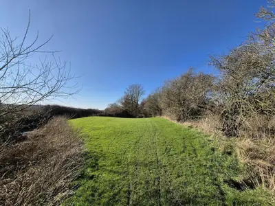 a green field with trees and a blue sky at Secluded 16th Century Farmhouse with private grounds in Hatfield Peverel