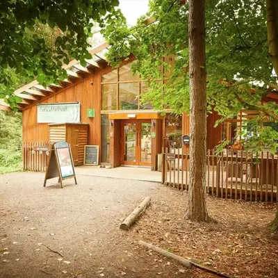 Thorpe Forest Cabins - Forest Holidays