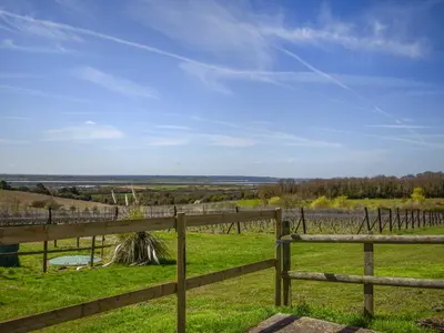a fence in a field with a view of a vineyard at Thistle No4 - Uk49250 in Althorne