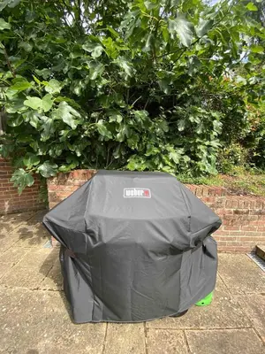 a tent sitting on the ground in front of a bush at 4 Bedroom Detached House Sleeps 7 in Ipswich