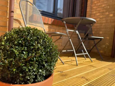 a chair and a potted plant on a porch at The Tetris Retreat in Cambridge