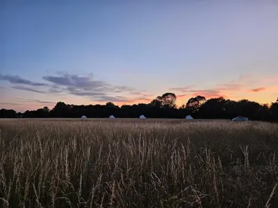 a field of tall grass with a sunset in the background at Readers Field Glamping in Great Sampford