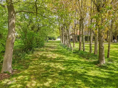 a tree lined path in a park with green grass at Cedar - Uk49525 in Saint Lawrence