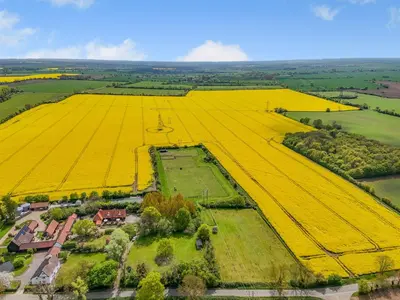 an aerial view of a large field of yellow flowers at Ash - Uk49524 in Saint Lawrence