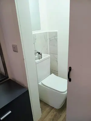 a bathroom with a toilet and a sink at Central en-suite room, WIFI, Kitchen and Laundry Access - room 5 in Ipswich