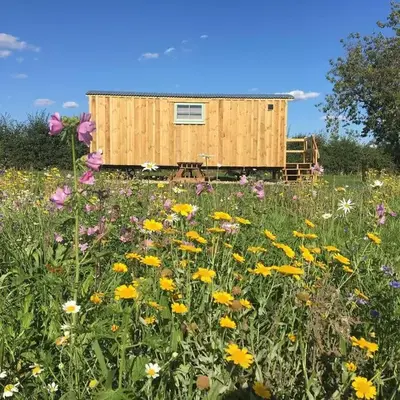 Shepherds Hut 8