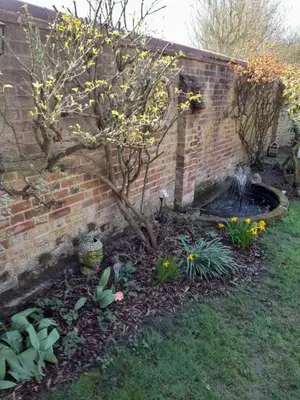 a garden with a tree and a brick wall at Wisteria Barn in Harleston
