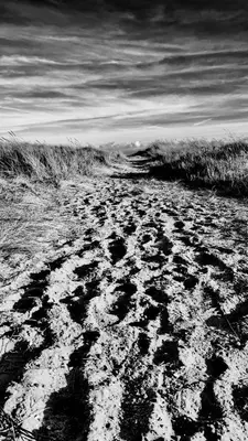 a black and white photo of a beach with grass at The Beach House East Mersea in Mersea Island