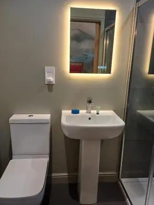 a bathroom with a sink and a toilet and a mirror at The Beehive Inn in Bury Saint Edmunds