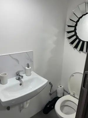 a bathroom with a sink and a toilet and a mirror at Cozy mini studio in Basildon in Nevendon