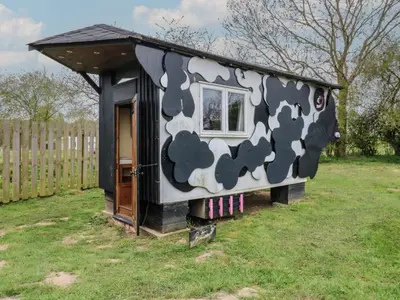 a cow print house sitting in a yard at Buttercup Cow Shed 3 in Woodbridge